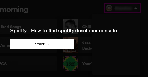 Spotify Open Access  Spotify for Developers